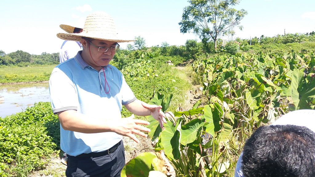 云顶国际(Malaysia)集团官方网站