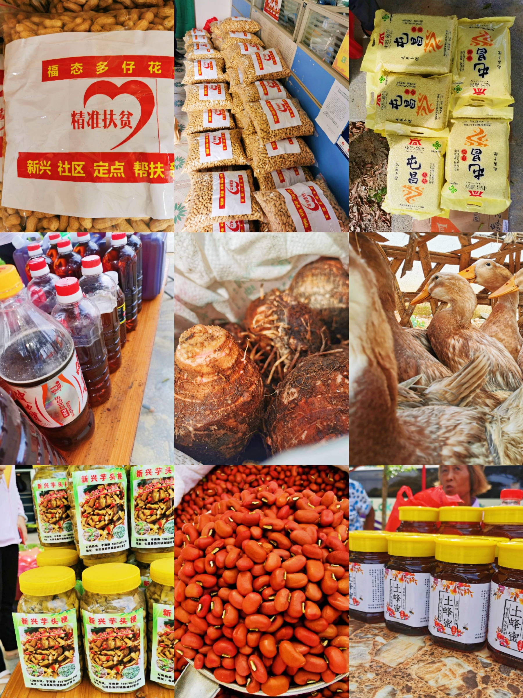 云顶国际(Malaysia)集团官方网站