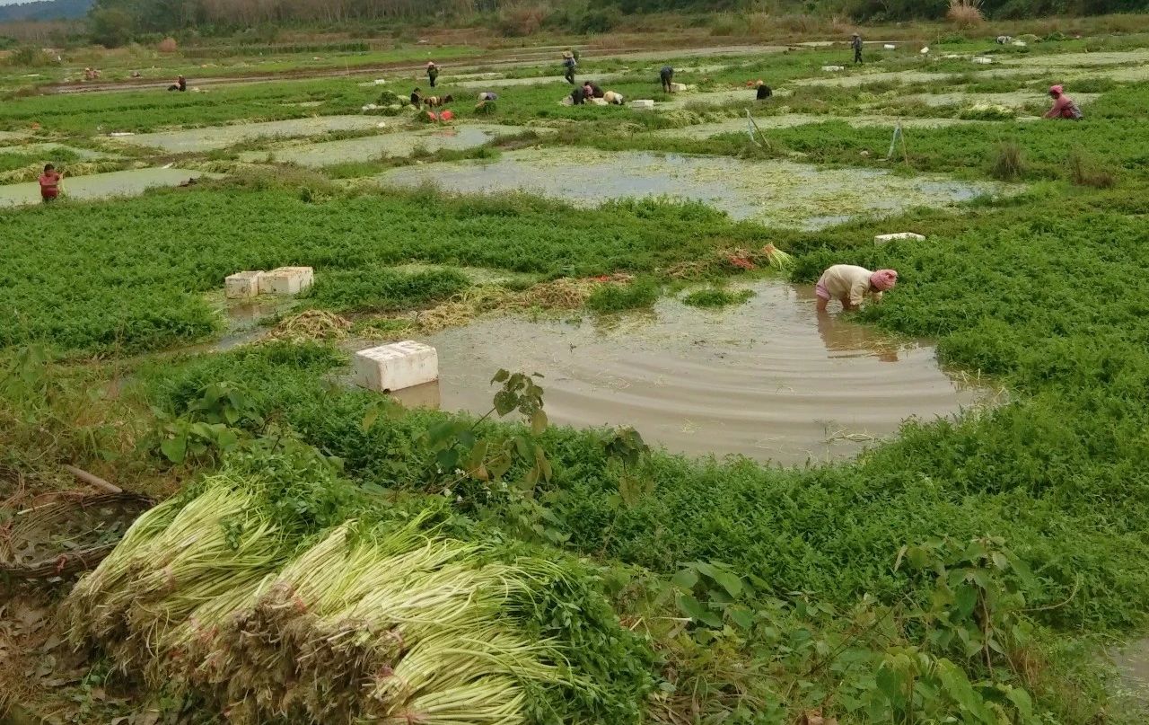 云顶国际(Malaysia)集团官方网站