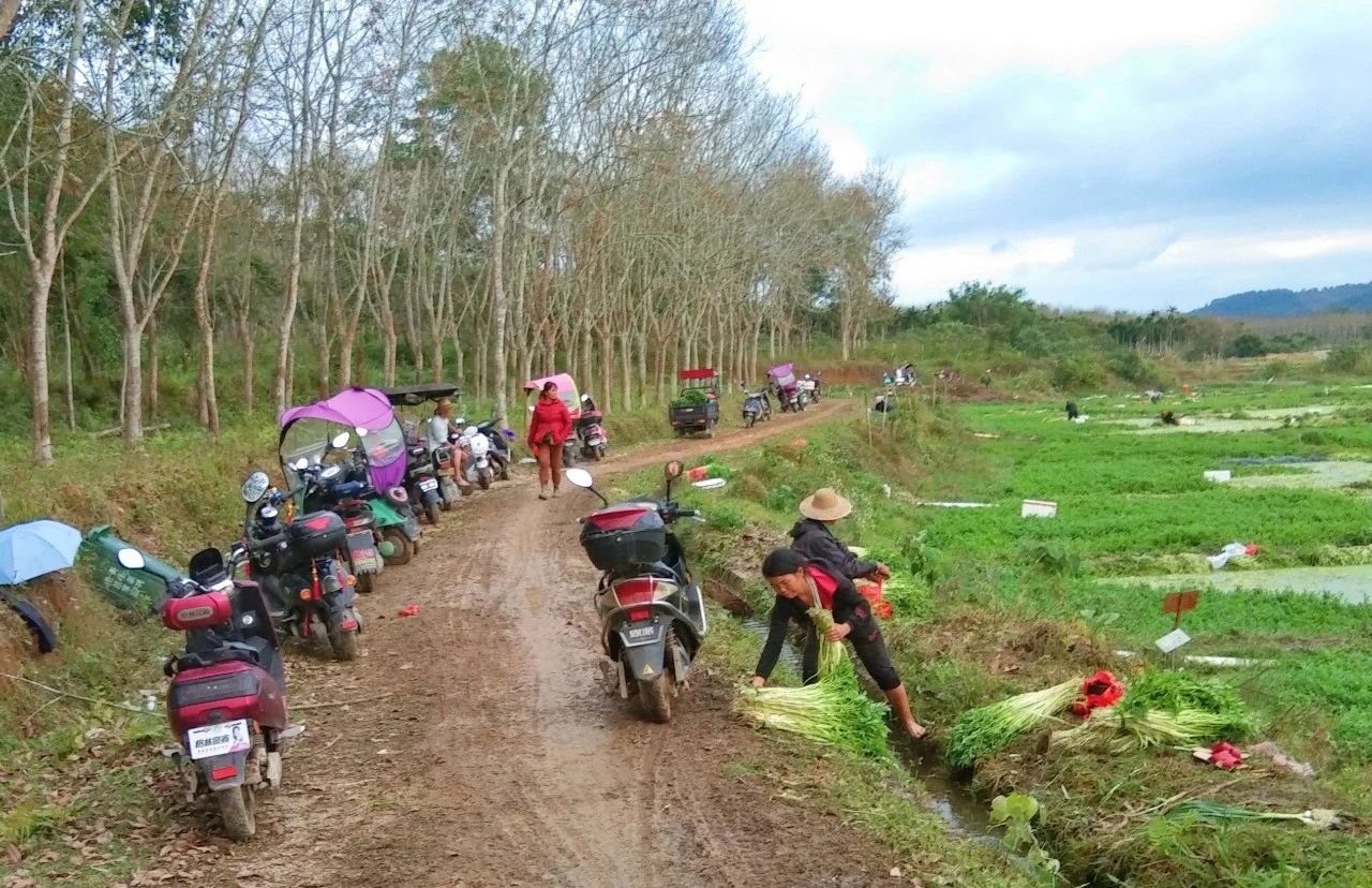 云顶国际(Malaysia)集团官方网站