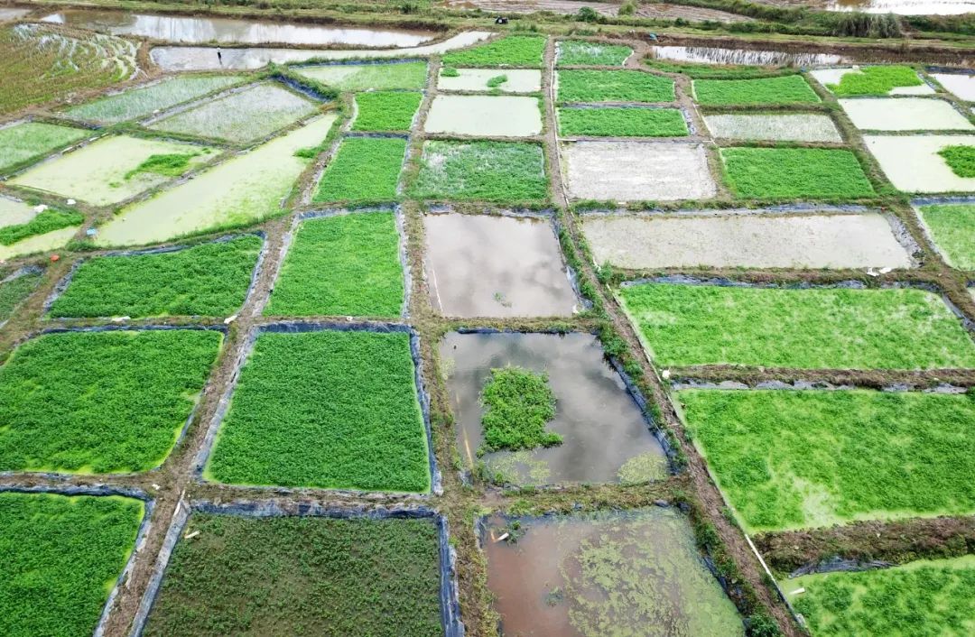 云顶国际(Malaysia)集团官方网站